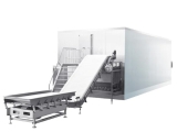 Hệ thống cấp đông nhanh IQF cho rau củ: Cách mạng bảo quản thực phẩm