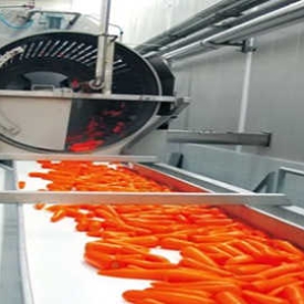 Dây chuyền chế biến nước ép cà rốt, carrot