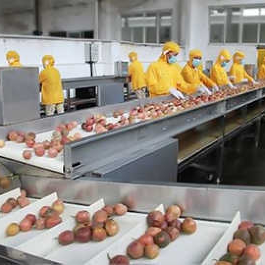 Dây chuyền chế biến nước ép chanh dây, nước ép ổi, nước ép lựu, nước ép thanh long
