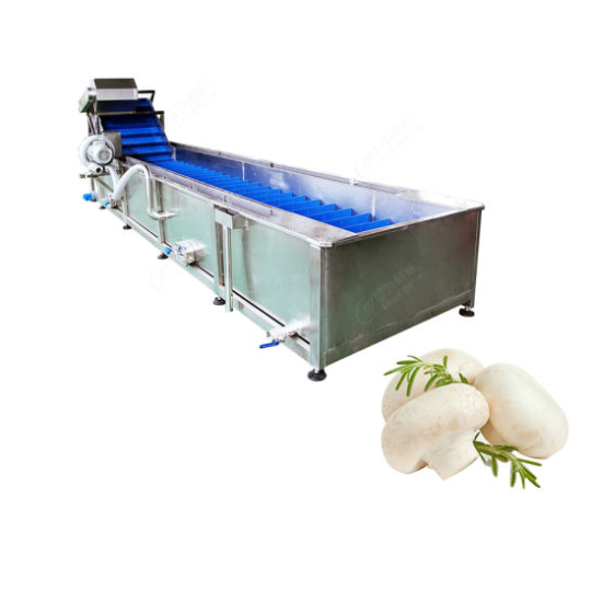 Dây chuyền sản xuất chế biến đóng gói nấm đóng lon, đóng hộp, đóng chai lọ bình hũ tự động